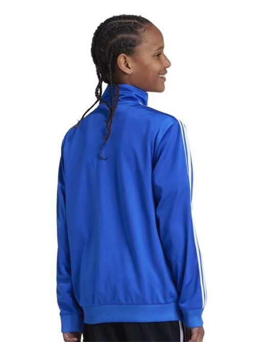 firebird top ADIDAS ORIGINAL | IY9799BLUE